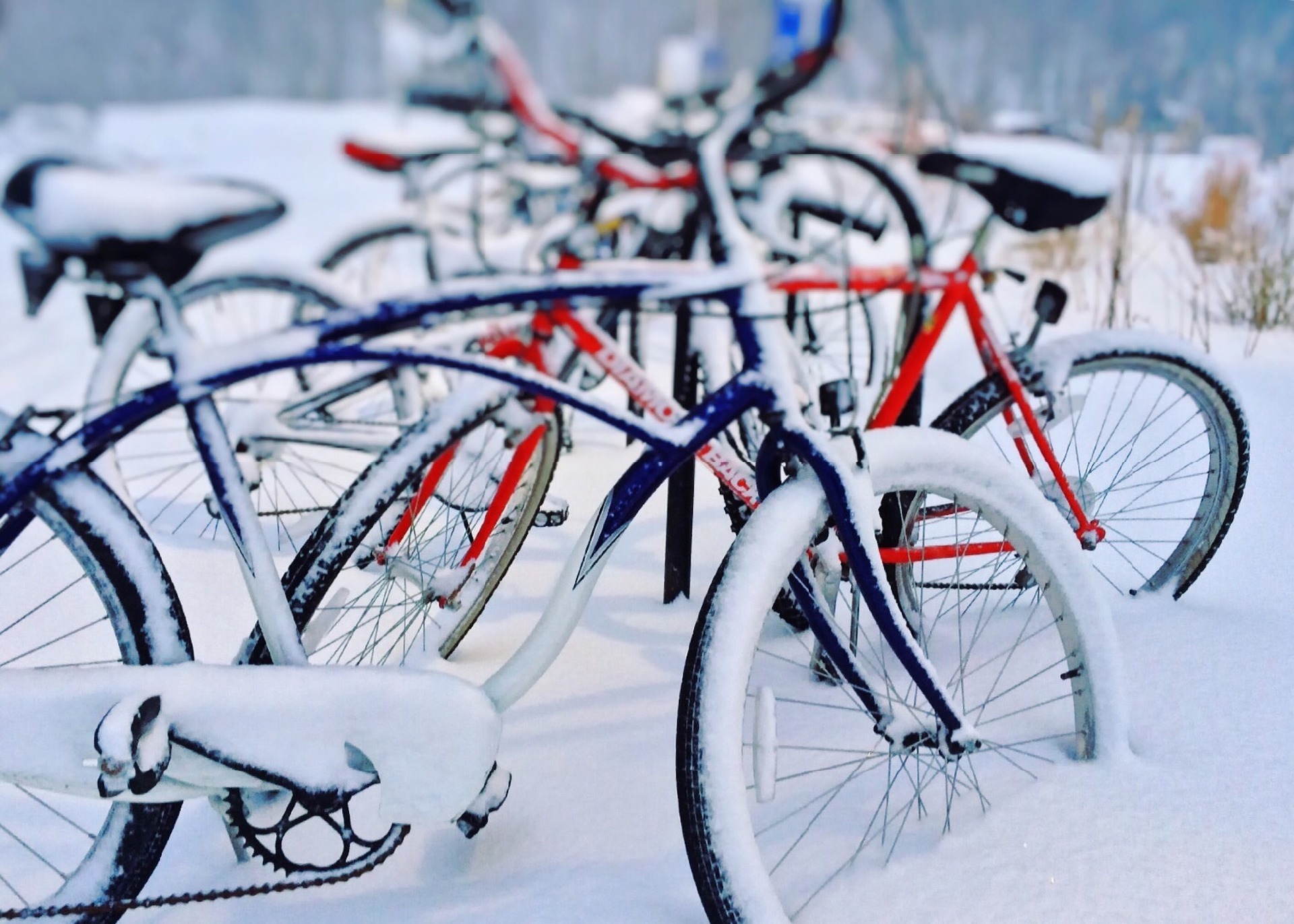 Schneebedeckte, geparkte Fahrräder in einer Winterlandschaft